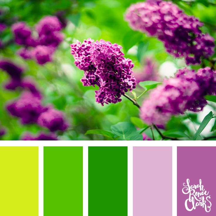 Nature colors | 25 color palettes inspired by the PANTONE color trend predictions for Spring 2018 - Use these color schemes as inspiration for your next colorful project! Check out more color schemes at www.sarahrenaeclark.com #color #colorpalette