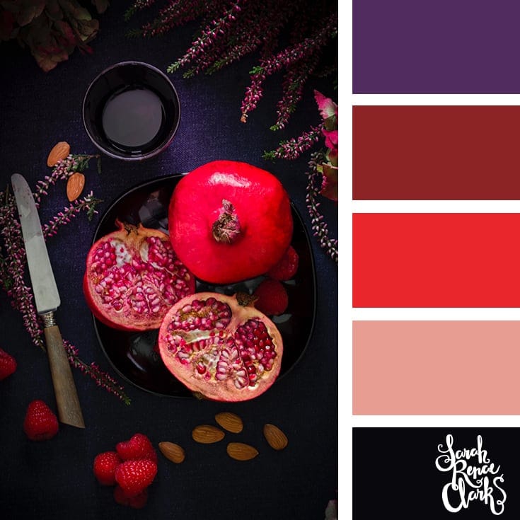 Pomegranate hues | 25 color palettes inspired by the PANTONE color trend predictions for Spring 2018 - Use these color schemes as inspiration for your next colorful project! Check out more color schemes at www.sarahrenaeclark.com #color #colorpalette
