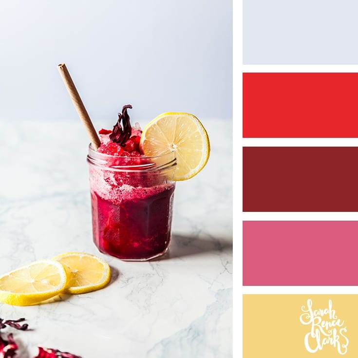 Red color inspo | 25 color palettes inspired by the PANTONE color trend predictions for Spring 2018 - Use these color schemes as inspiration for your next colorful project! Check out more color schemes at www.sarahrenaeclark.com #color #colorpalette