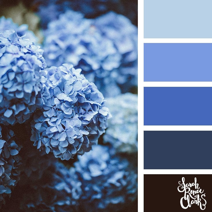 Blue color scheme | 25 color palettes inspired by the PANTONE color trend predictions for Spring 2018 - Use these color schemes as inspiration for your next colorful project! Check out more color schemes at www.sarahrenaeclark.com #color #colorpalette
