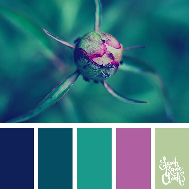 Teal and purple color scheme | 25 color palettes inspired by the PANTONE color trend predictions for Spring 2018 - Use these color schemes as inspiration for your next colorful project! Check out more color schemes at www.sarahrenaeclark.com #color #colorpalette
