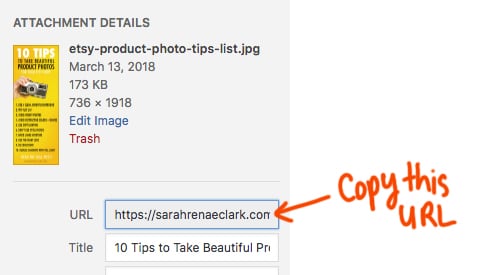 Wordpress image URL
