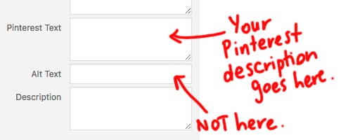 Write your Pinterest descriptions in the alt-image field on your website | Pinterest marketing tips www.sarahrenaeclark.com