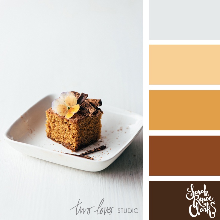 Chocolate browns color scheme