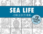 sea life coloring page collection