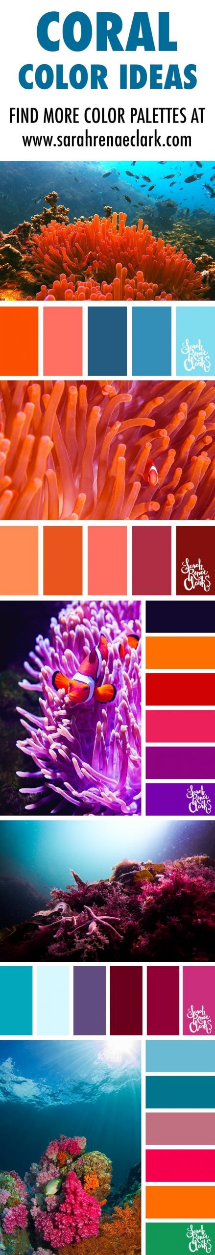 coral color palettes, color schemes, color ideas