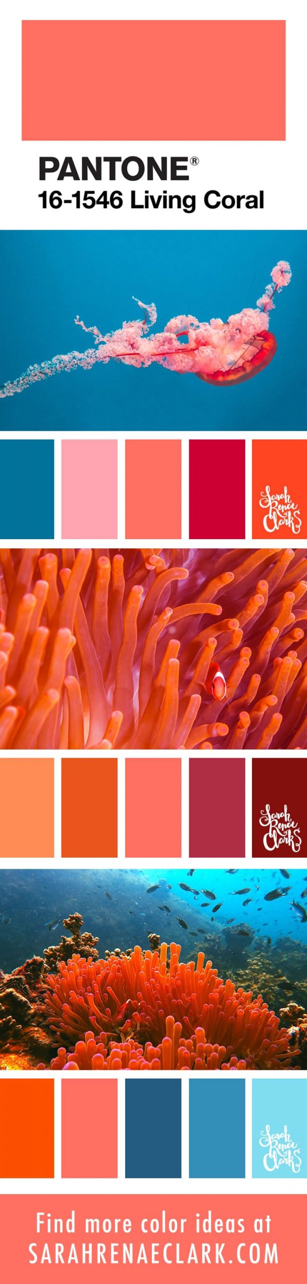 PANTONE Living Coral color schemes
