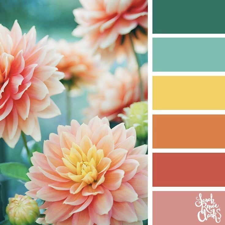 Beautiful pink flowers // 25 Floral Color Palettes