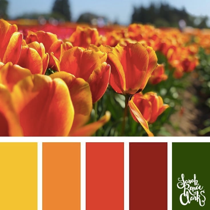 Orange tulips // 25 Floral Color Palettes