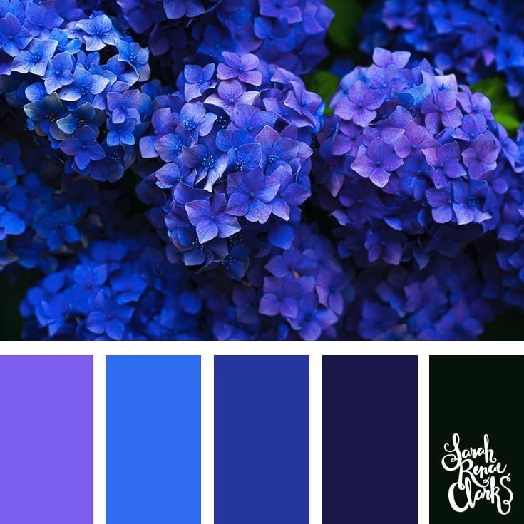 Blue flowers // 25 Floral Color Palettes