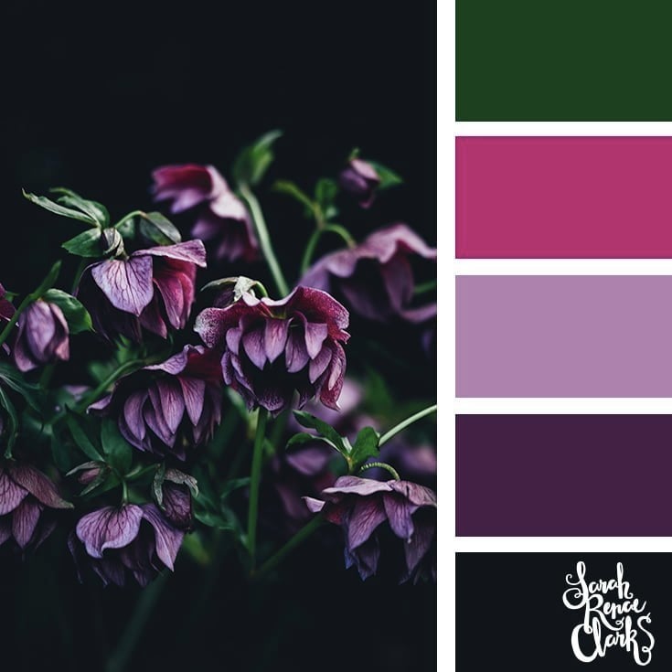 Purple floral arrangement // 25 Floral Color Palettes