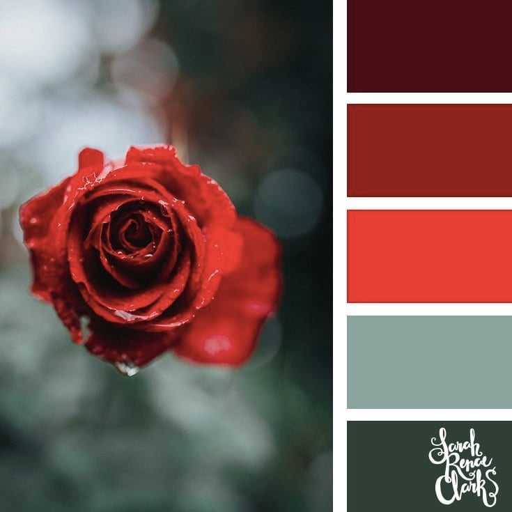 Red rose // 25 Floral Color Palettes