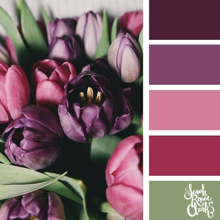 Purple tulips // 25 Floral Color Palettes