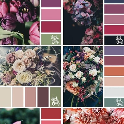 25 Floral Color Palettes