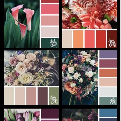25 Floral Color Palettes