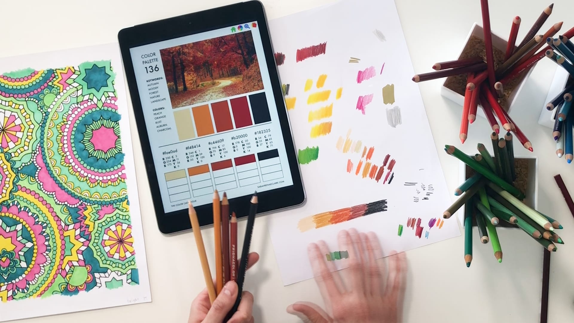 How to use a color palette
