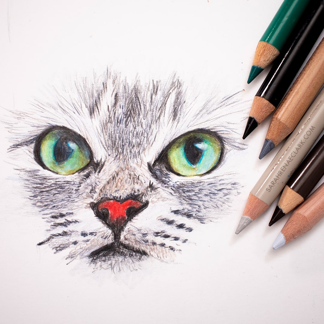 Example of cat drawing with colored pencils