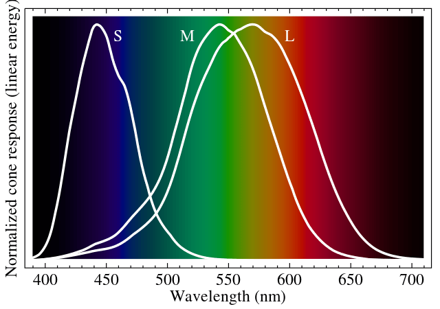 eye cones red green blue light