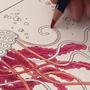 Derwent Inktense pencil techniques