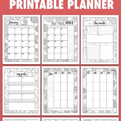 Free printable 2024 Planner (January)