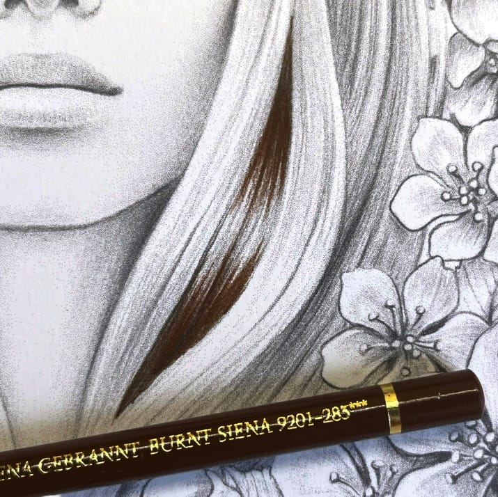 second step on coloring brown hair using Faber-castell polychromos pencils (Burnt Sienna) in the coloring book