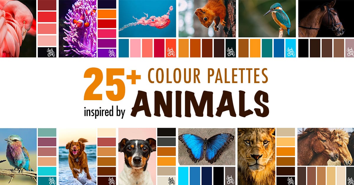 25+ colour ideas to inspire your next animal art project