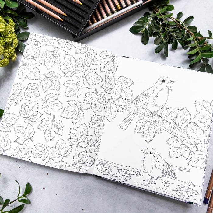 Vibrant Wilds Adult Colouring Book - Image 5