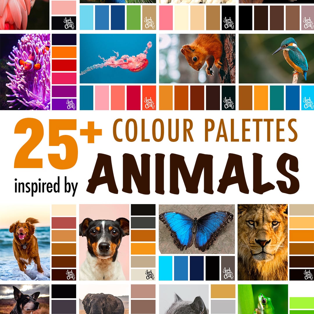 Color palette and color combination to help with color inspiration for any art project inspired by animals