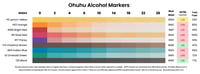 Ohuhu Alcohol Markers lightfast results