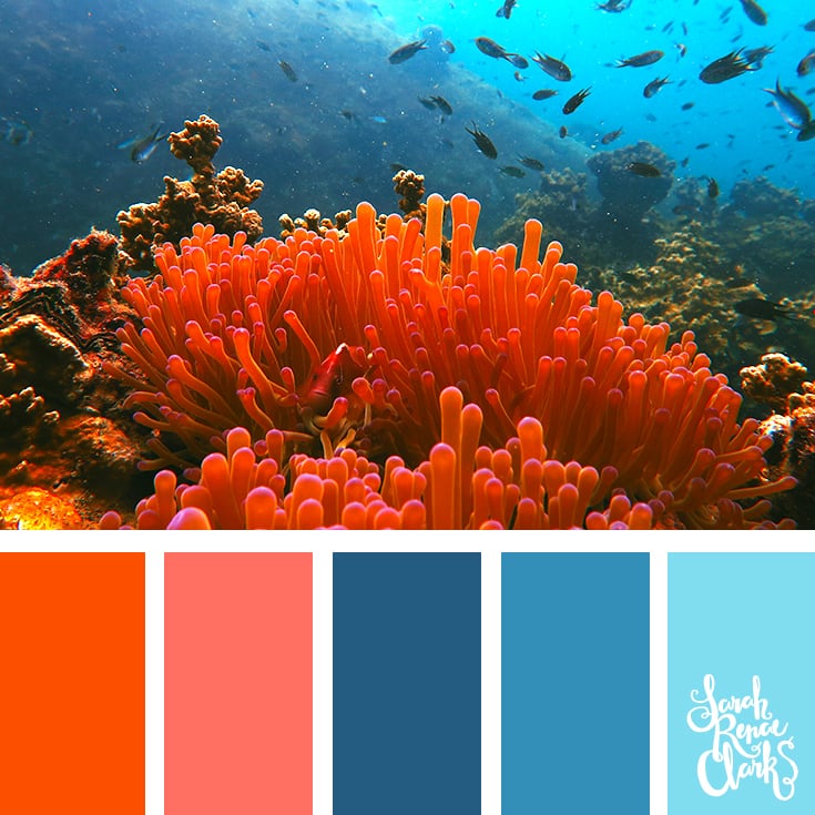 Colour Palettes number 278 from Color Cube Volume 2