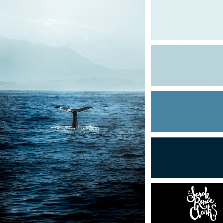Colour Palettes number 299 from Color Cube Volume 2