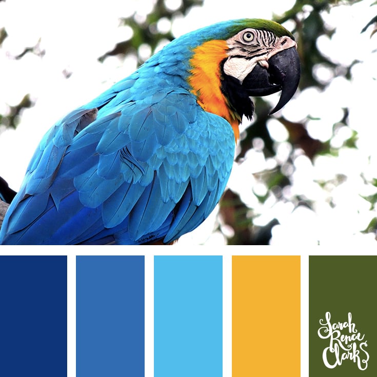 Colour Palettes number 004 from Color Cube Volume 1