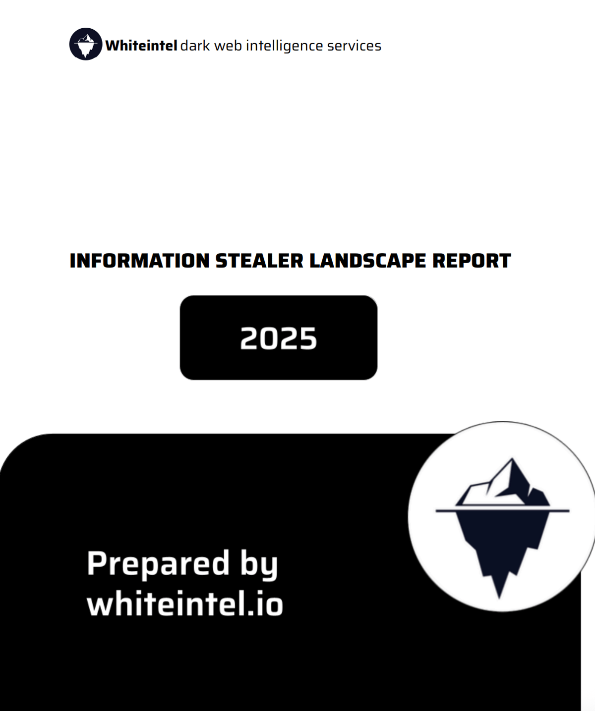 2025 Report Cover