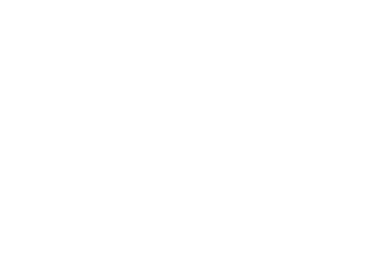 AutoMax Group - Used Car Dealer