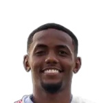 Vinicius Amaral