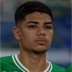 Alvaro Henrico Paiva
