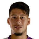 N. Fernandez