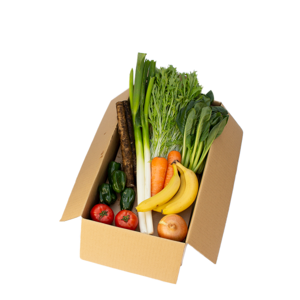 ゆうきだいすきセット