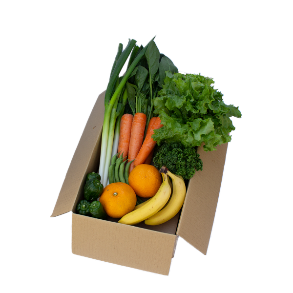 フルーティーセット