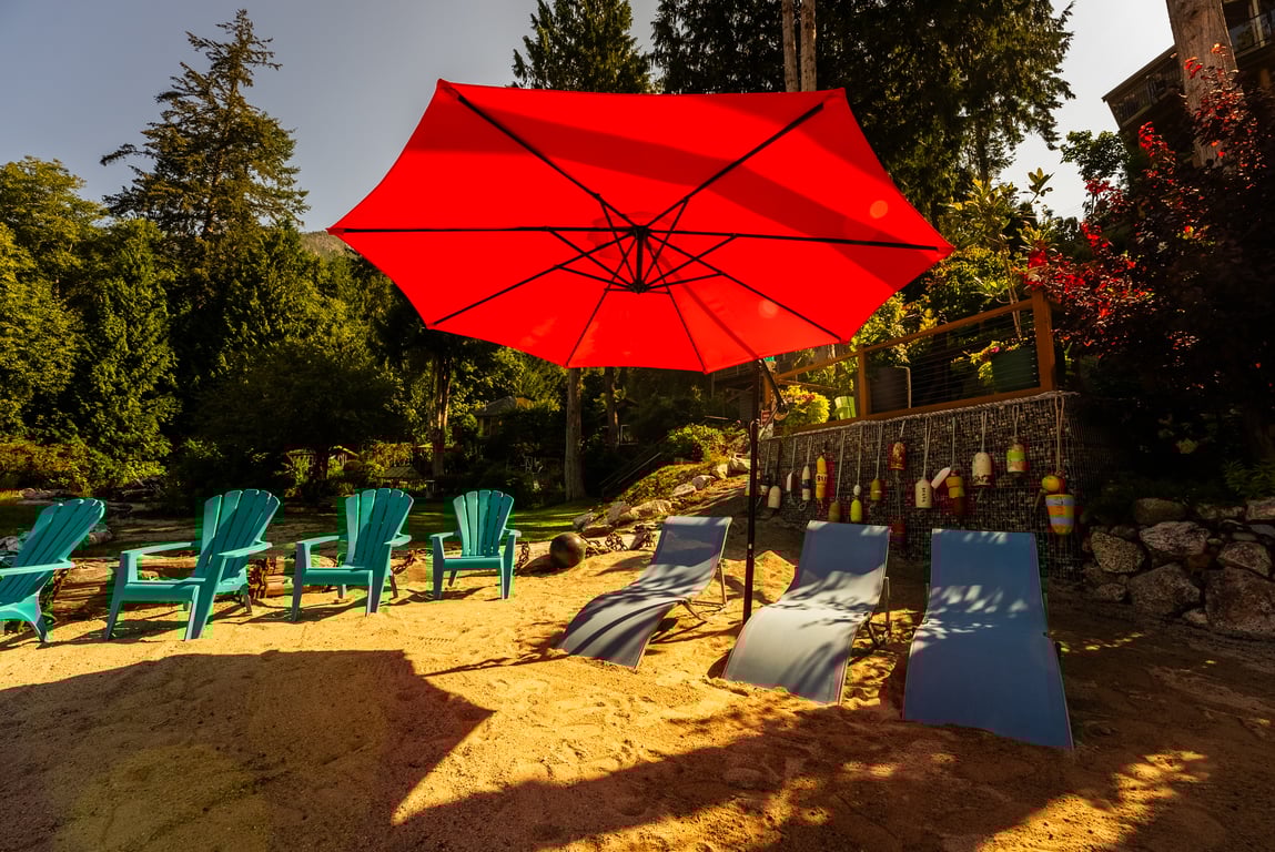 Trail through the coastal forest