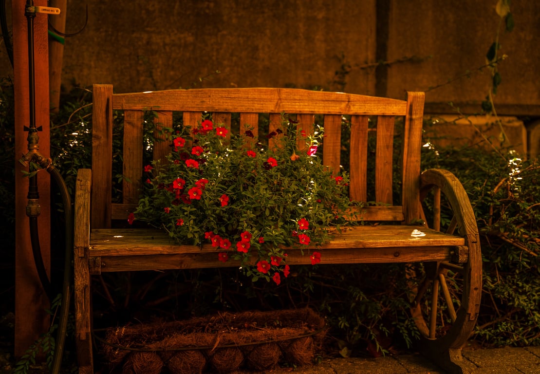 Waterfront deck and seating area