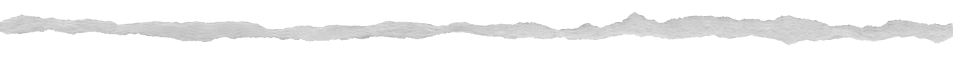 Torn Paper Divider