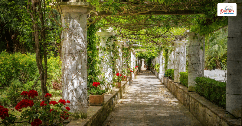 Explore the Villa San Michele