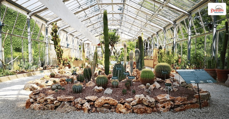 Discover the Orto Botanico di Pisa