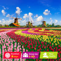 Tulip Garden Tour From London By Eurostar - Tour image