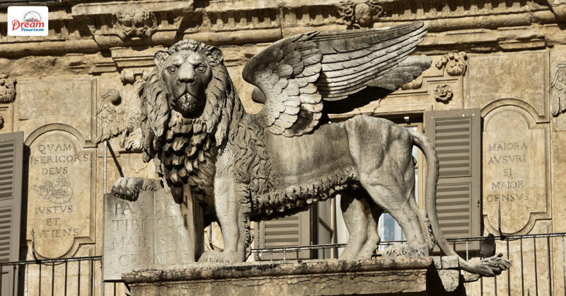 Look out for the Lions