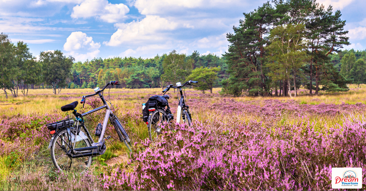 Why do the Dutch love cycling and sustainability in the Netherlands