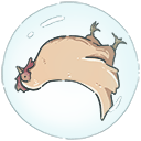 shark_bubble_chicken