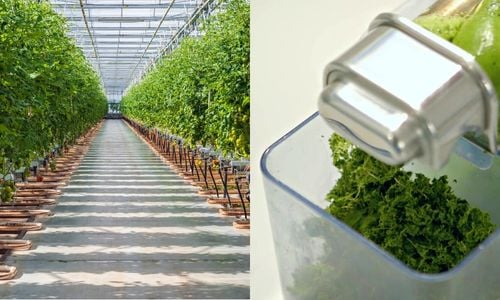 Refinery technology for horticulture side streams | Starthubs