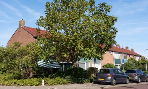 Circulaire renovatiechallenge